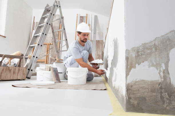 Best Wallpaper Removal and Painting  in Coleraine, MN