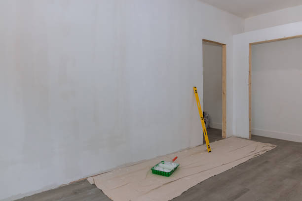 Best Ceiling Drywall Installation  in Coleraine, MN